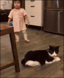 tumblr_oupxmvjUca1qigfjto1_400.gifv