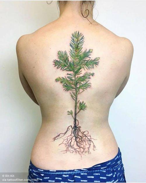 By Rit Kit, done in Bordeaux. http://ttoo.co/p/34384 back;big;blue spruce;facebook;nature;ritkit;tree;twitter;watercolor