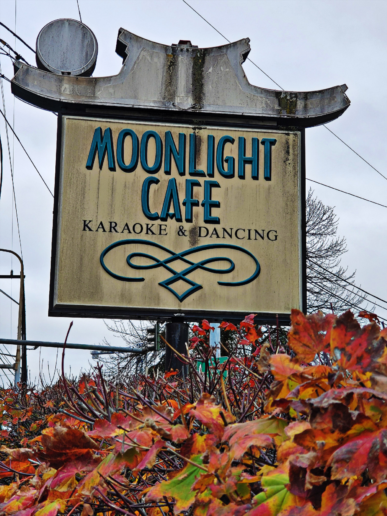 moonlight cafe | Tumblr