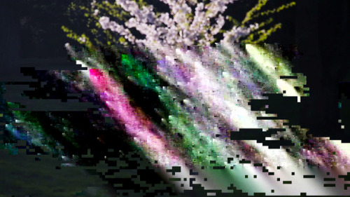 glitchphotography