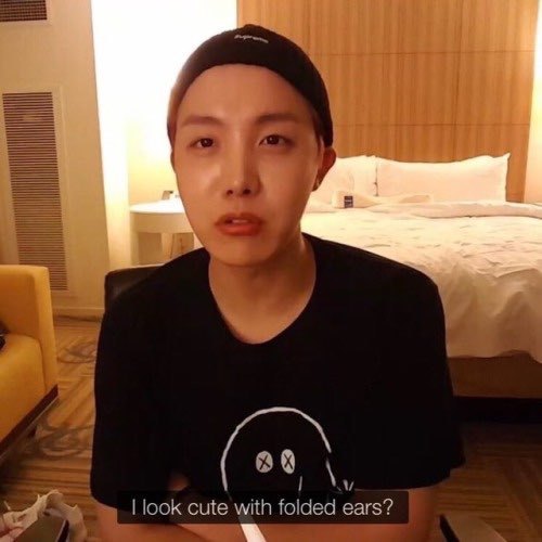 noona4bts:CALLING ALL HOBI STANS!!!! INTRODUCING THE HOBI...