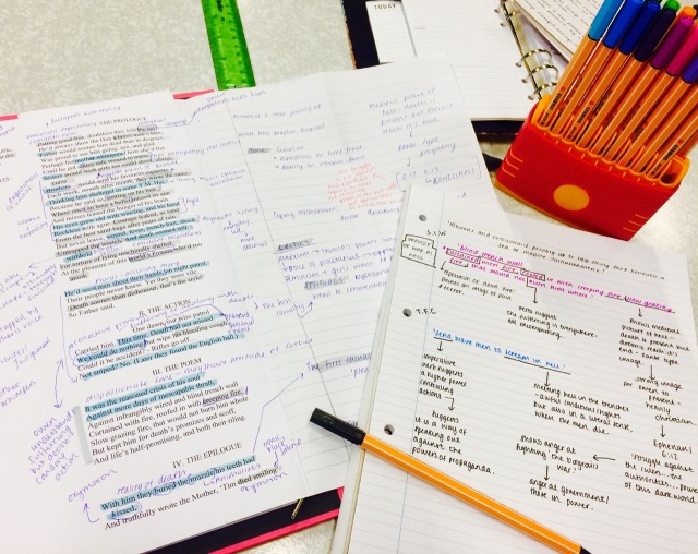 Essays on ww1