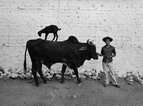 fotojournalismus:Mexico, 1987.Photo by Flor Garduño