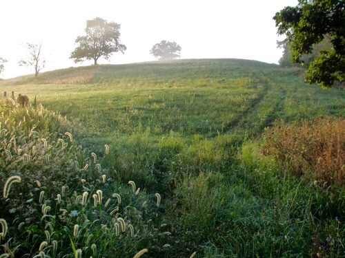 oldfarmhouse:@flickrhttps://www.flickr.com/greenlandscape