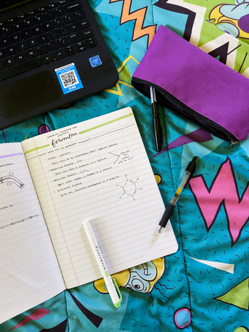 studynwrite