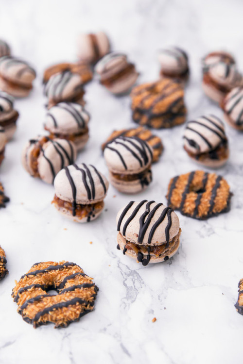 sweetoothgirl:Samoas Macarons