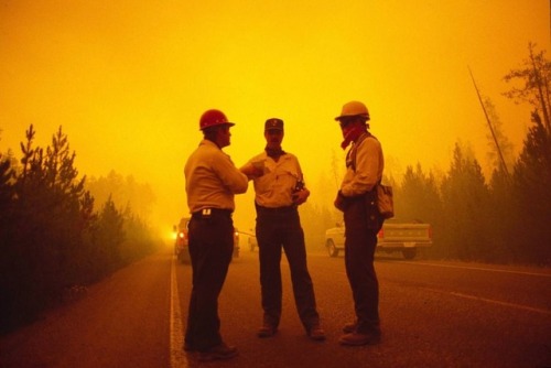 historicaltimes:Fire officials meet in Yellowstone on August,...