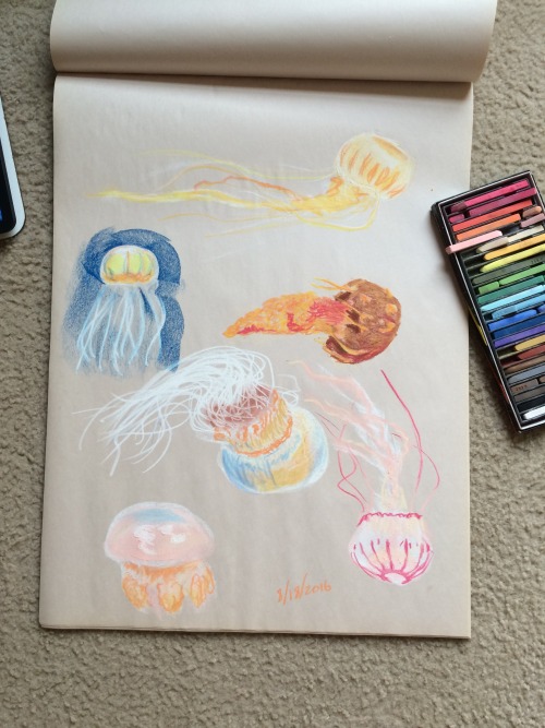 pastel jellyfish | Tumblr