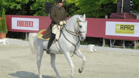 CAV Spanische Hofreitschule Wien Heldenberg 09