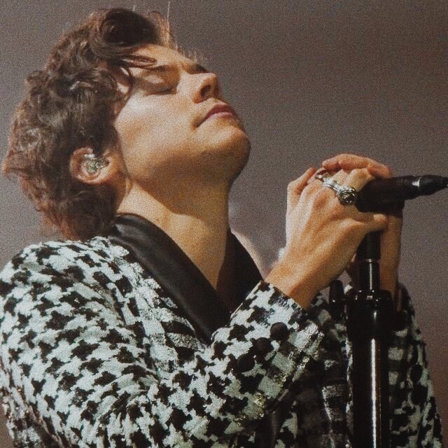 harry styles