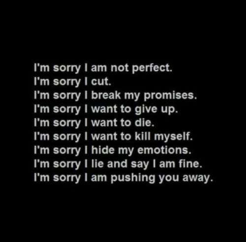 I’m sorry..