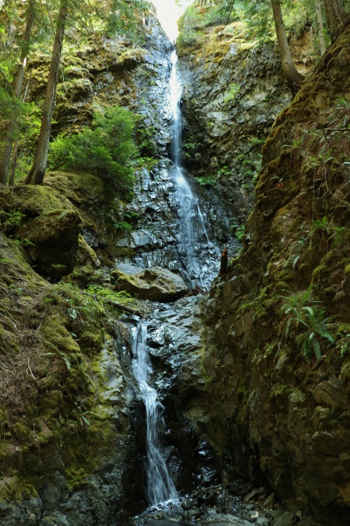 hikingvancouverisland:Lupin Falls (Buttle Lake) July 25 2018