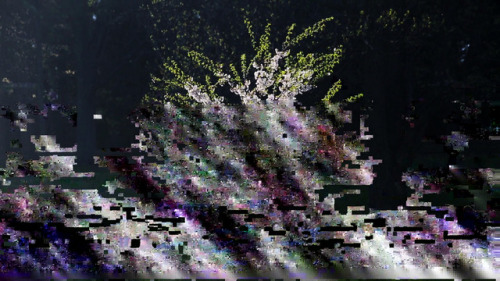glitchphotography