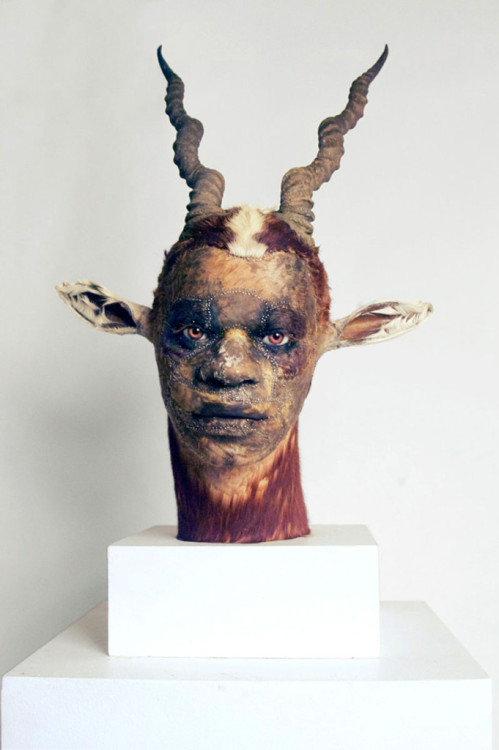 unexplained-events:Kate Clark’s Twist on TaxidermyKate Clark,...