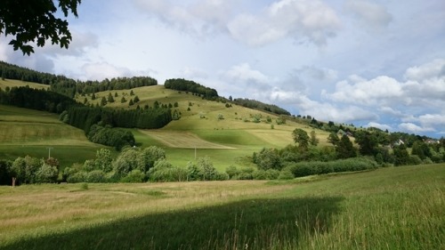 Bernau Schwarzwald Tourismus