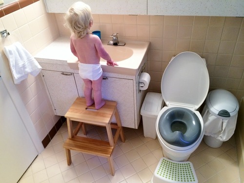 Midwest Montessori — Toilet learning: Phase 2