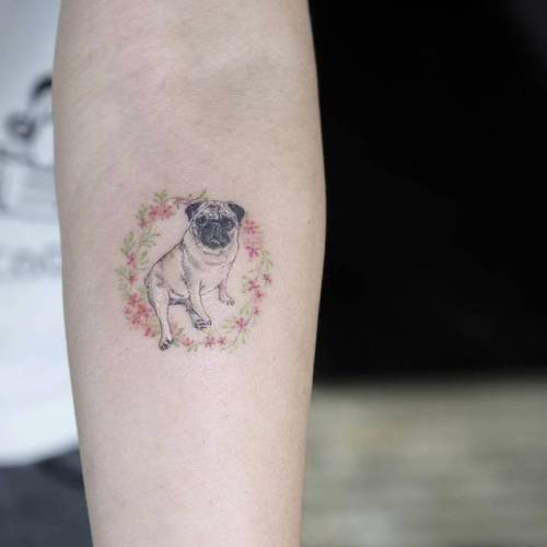 Portrait of Memphis the pug, next time doing his staffy mate above. Thanks  Mary @sunnyside.social | Instagram