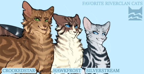 blistorrow:Favorite kitties ✨