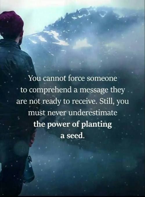 truth message seed seeds wisdom