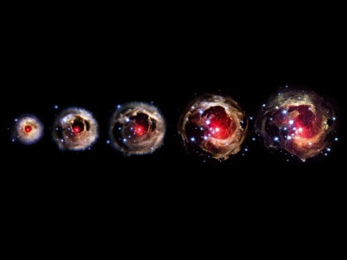 astronomyblog:V838 Monocerotis stages of expansion...