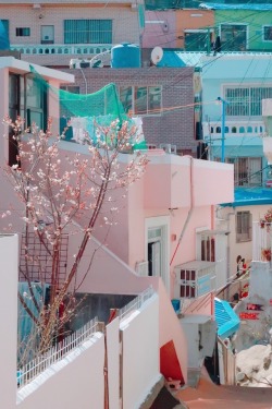 Gamcheon Cultural Village Tumblr