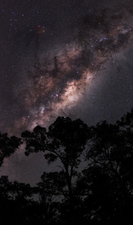 inefekt:Outback Milky Way - Lake Leschenaultia, Western...