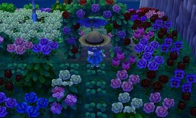 acnl flower arch