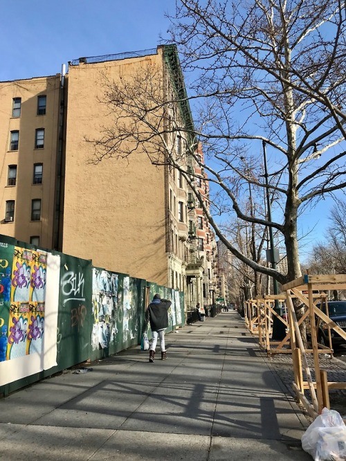 Streets of Harlem: W. 110th Street between Adam Clayton Powell...