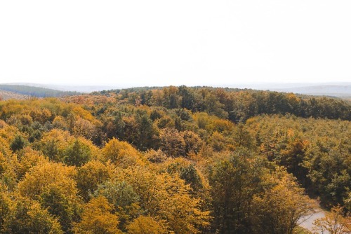 Zselicvölgy, Hungary, 2017