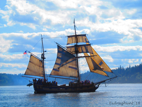 corvid-explorer:Hawaiian Chieftain in Budd Inlet for Harbor Days...