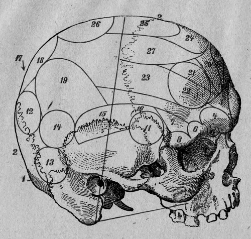 chaosophia218:Antique Lithographs of the Human Skull.