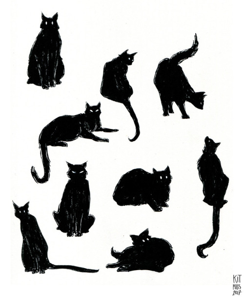 kitmillsdraws:cat blobs