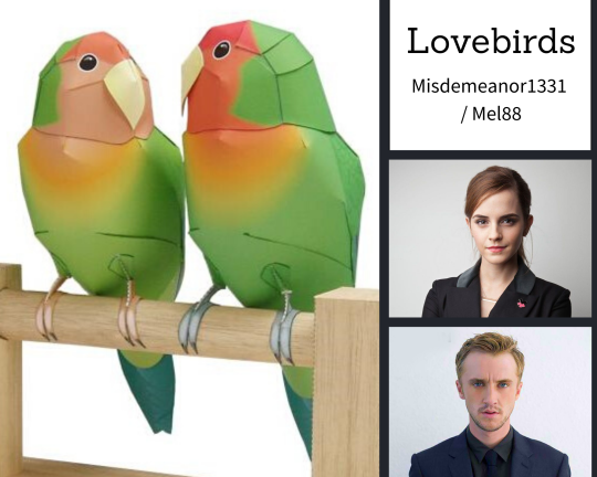 Lovebirds - Chapter 1 - Misdemeanor1331 - Harry Potter - J. K. 