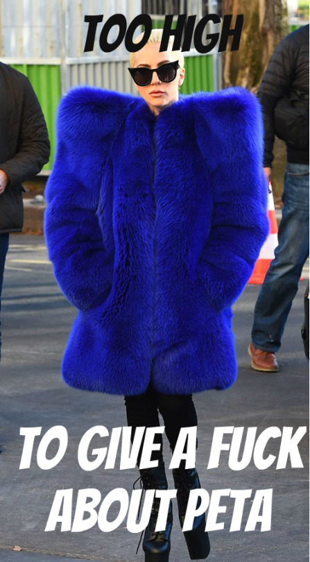 tumblr_ohf10sLn8t1qmnxpqo1_540.jpg