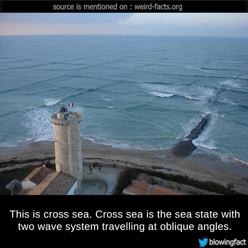 weird-facts-this-is-cross-sea-cross-sea-is-the-sea-state-with