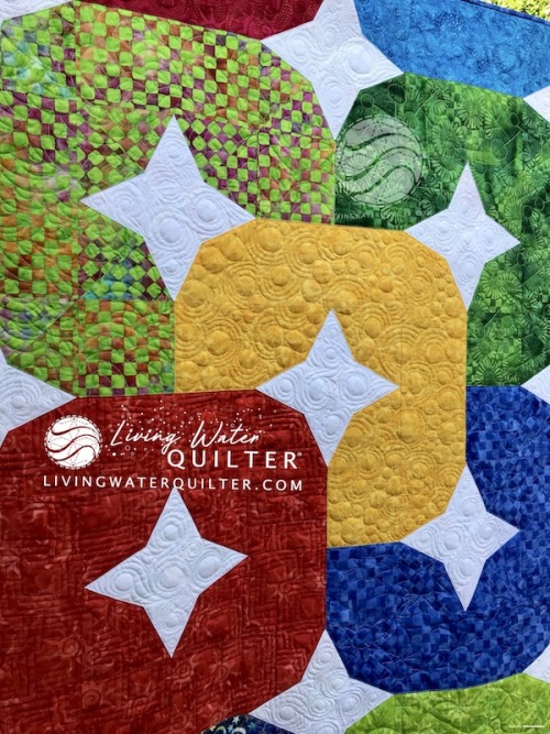 Karen's Quilts, Crows and Cardinals: Do you FMQ? The Process