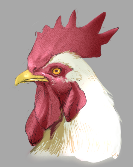 ベストセレクション 鶏 イラスト リアル フリーアイコン イラスト素材の無料ダウンロード