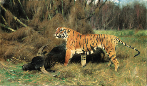 Tigers by Wilhelm Kuhnert (1865-1926)