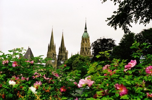 floralls:Normandy, Franceby  Rick Ligthelm