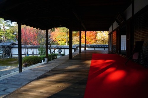 chitaka45:京都 御寺泉涌寺 別院 雲龍院kyoto sennyu-ji unryu-in temple