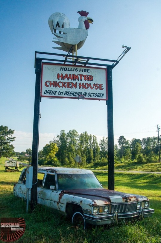 Haunted Chicken House Tumblr