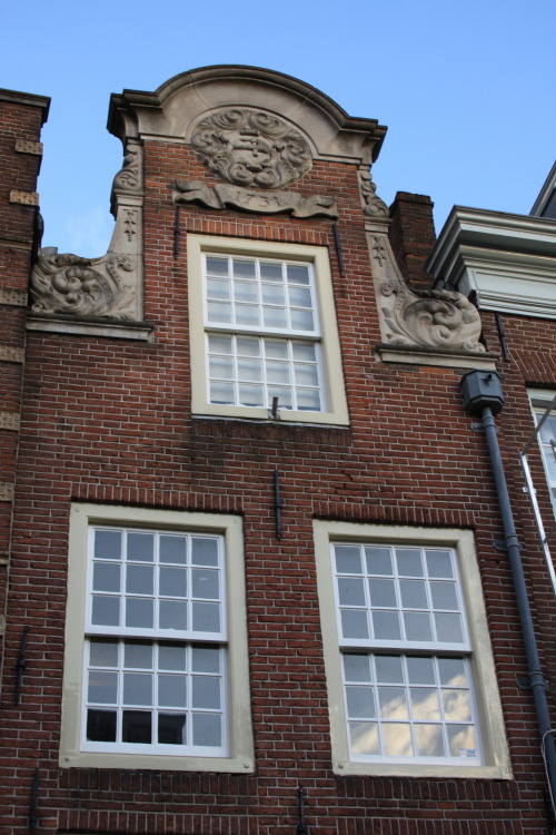 gaenseklein