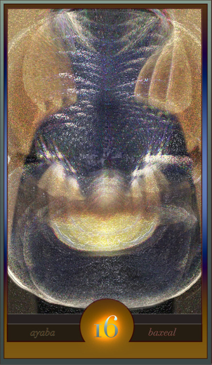 card scry bax 4D rotation black mother nurture gestate education two eights