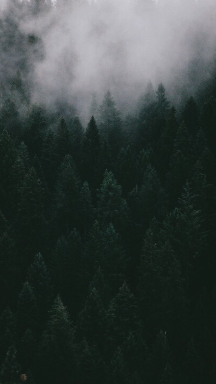 dark green aesthetic. | Tumblr