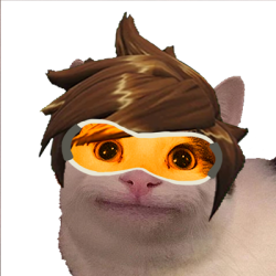 Blushing Cat Meme Discord