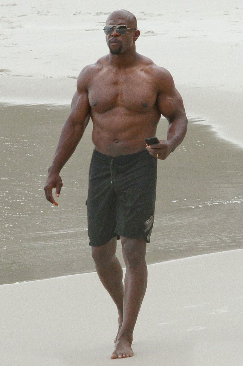 Shirtless Male Celebs Terry Crews 10560 Hot Sex Picture 