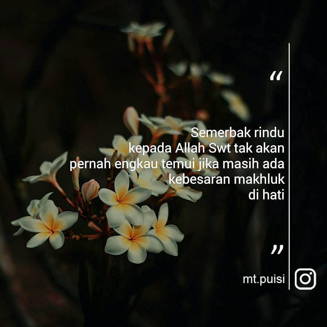 Puisi Cinta Karena Allah Swt - Pantun Cinta