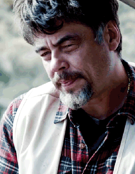 my gifs IM LITERALLY IN TEARS my fave part ok wow benicio del toro a perfect day beniciodeltoroedit filmedit fyeahmovies useralex