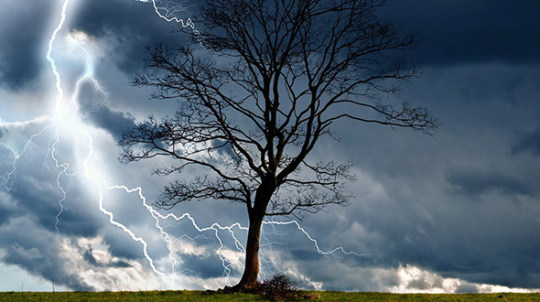 Tree hazard assessment to prevent property damage during storms