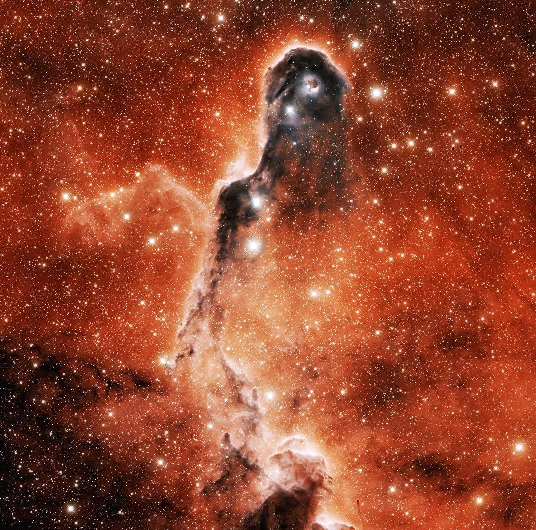 Space Pictures — The Elephant’s Trunk Nebula or IC 1396. Credit:...